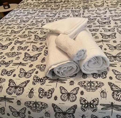 Appartement Mitoyen Avec 1 Chambre
