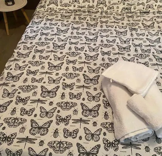 Appartement Mitoyen Avec 1 Chambre